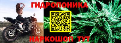 стафф Лесосибирск