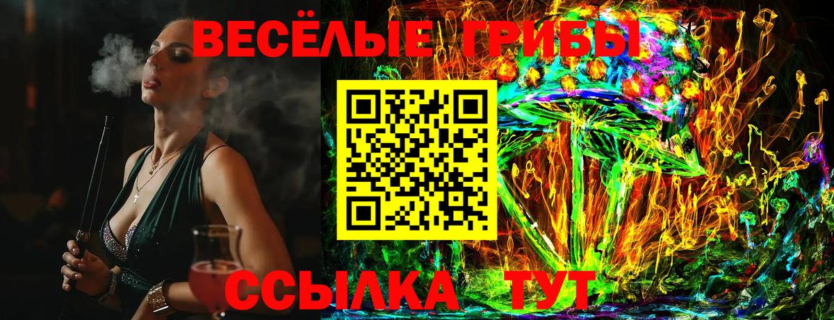 Псилоцибиновые грибы GOLDEN TEACHER  Вход с VPN  Кореновск 